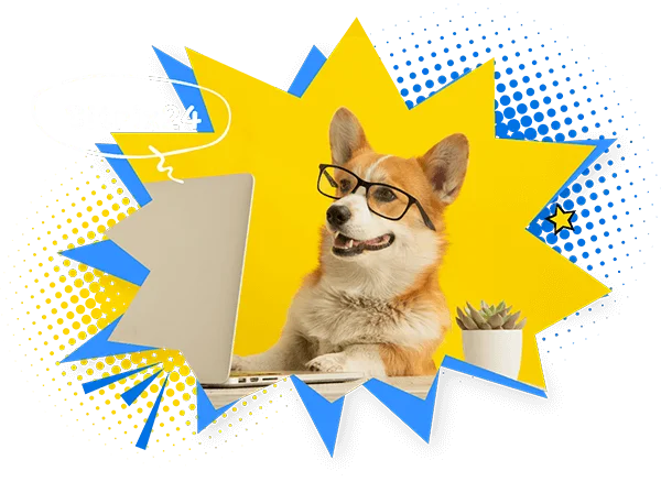 dog_banner_foter
